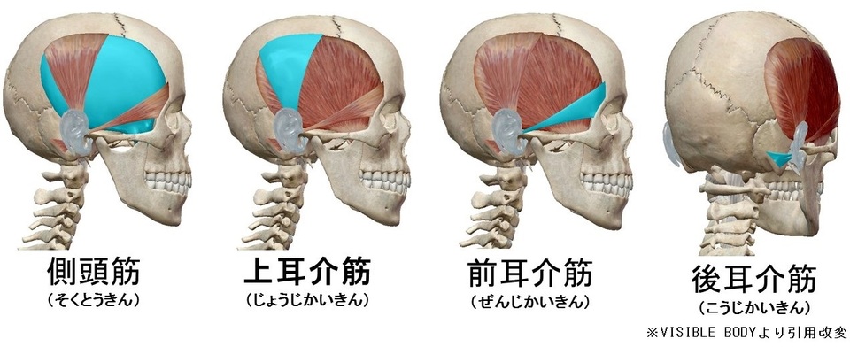 sokutoukinn.jpg